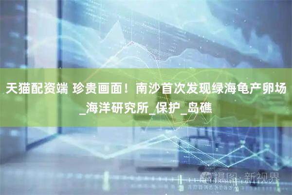 天猫配资端 珍贵画面！南沙首次发现绿海龟产卵场_海洋研究所_保护_岛礁