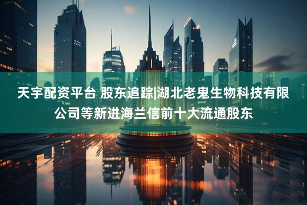 天宇配资平台 股东追踪|湖北老鬼生物科技有限公司等新进海兰信前十大流通股东