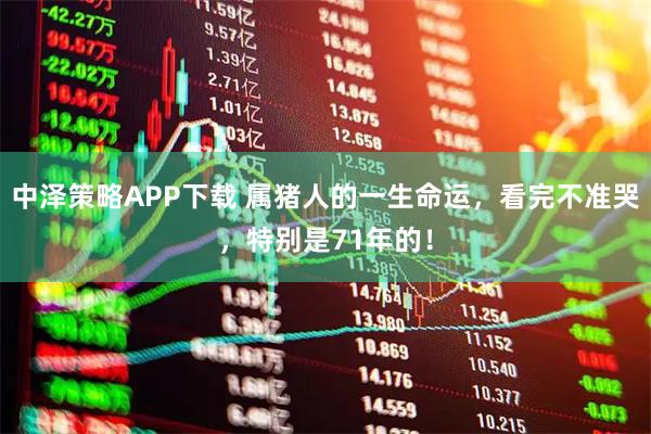 中泽策略APP下载 属猪人的一生命运，看完不准哭，特别是71年的！